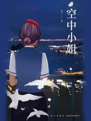cover image of 空中小姐